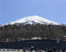 春です