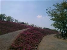 花よりKART 花よりKART