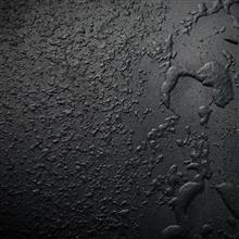 モーターファンフェスタ2017 Ferrari関連 モーターファンフェスタ2017 Ferrari関連