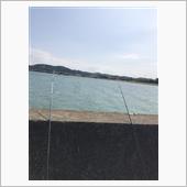 釣れない