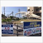 あまりにも釣れないので