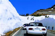 雪の回廊TRG！