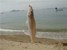 GWの釣り GWの釣り