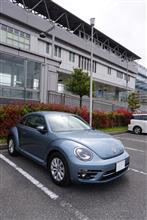 愛車遍歴フェスと肉フェス! 愛車遍歴フェスと肉フェス!