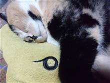 息抜きも必要(#^.^#)