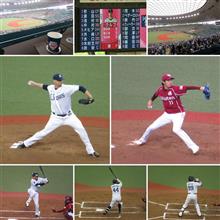 野球観戦（埼玉西武VS東北楽天）