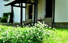 　　May seventh Sunday....　(+o+)