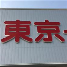2017ＧＷ…ジャイアントワカメのことではないと思う2017