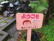 移住計画? 移住計画?