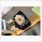 十日町きものまつり　　　　　 ...