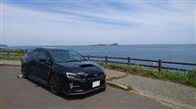 杉の原放牧場 