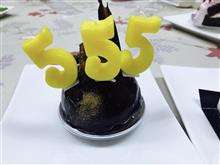 RNG48
