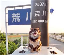 もん太と川幅日本一(荒川)を行く! もん太と川幅日本一(荒川)を行く!