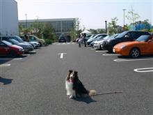 日曜日は湘南T-SITEのモーニングクルーズとワンOneDay!に行ってきました♪ 日曜日は湘南T-SITEのモーニングクルーズとワンOneDay!に行ってきました♪