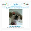 祝・みんカラ歴4年！