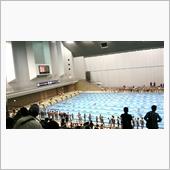 今日のレース