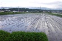 田植えオペ6日目 田植えオペ6日目