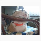 さぁ！ぴょん吉だ(#^.^#)