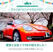 愛車と出会って1年! 愛車と出会って1年!