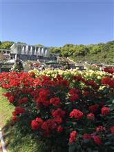 須磨離宮公園🌹