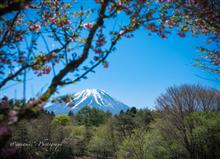 2017 富士芝桜まつり、からの朝霧高原♪ 2017 富士芝桜まつり、からの朝霧高原♪
