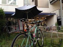 本日の鹿