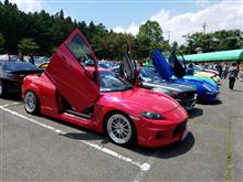 Haruna seven day