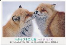 なんちゃってネイチャーカメラマンだった頃の友人の写真展が６月に有ります