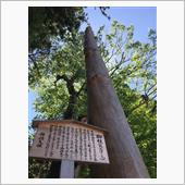 さるくらロドミーティング　長 ...