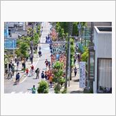 順天堂大学はだか祭り