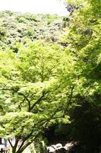 散策　～箕面大滝、能勢