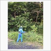 草刈り他