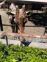 保育園の遠足に行って来たよ～