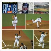 野球観戦（埼玉西武VS巨人）