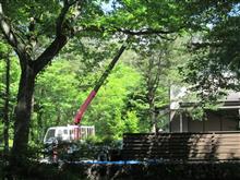 緑深い静かな軽井沢 緑深い静かな軽井沢