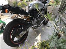 ホーネット６００Ｓ対車検