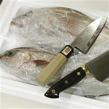 お勧め！魚が激安！千葉市中央卸売市場