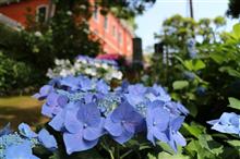 2017 ながさき紫陽花まつり（シーボルト記念館）☆彡