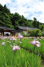 大安禅寺の花しょうぶ祭