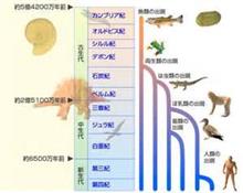 　「　　　進　　化　　　」　　～