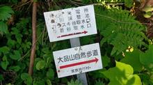 稀少なバットレスダム、真川調整池見学。 稀少なバットレスダム、真川調整池見学。
