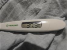 夏より早くバテて熱中してみたw