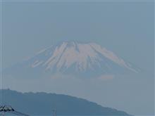 ６月２１日水曜日の日記