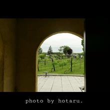 Photo drive ~家族との時間~ Photo drive ~家族との時間~