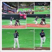 野球観戦（福岡ソフトバンクV ...
