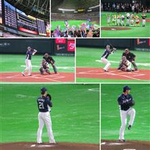 野球観戦（福岡ソフトバンクVS埼玉西武）