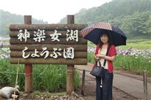 神楽女湖の花菖蒲