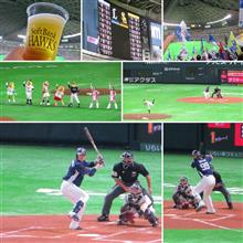 野球観戦（福岡ソフトバンクVS埼玉西武）