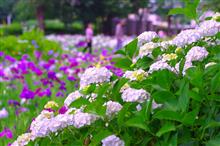 丸山公園にて(^_^) 丸山公園にて(^_^)