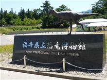 世界レベル恐竜博物館 と お城 と 珍スポット(福井県勝山市) 世界レベル恐竜博物館 と お城 と 珍スポット(福井県勝山市)